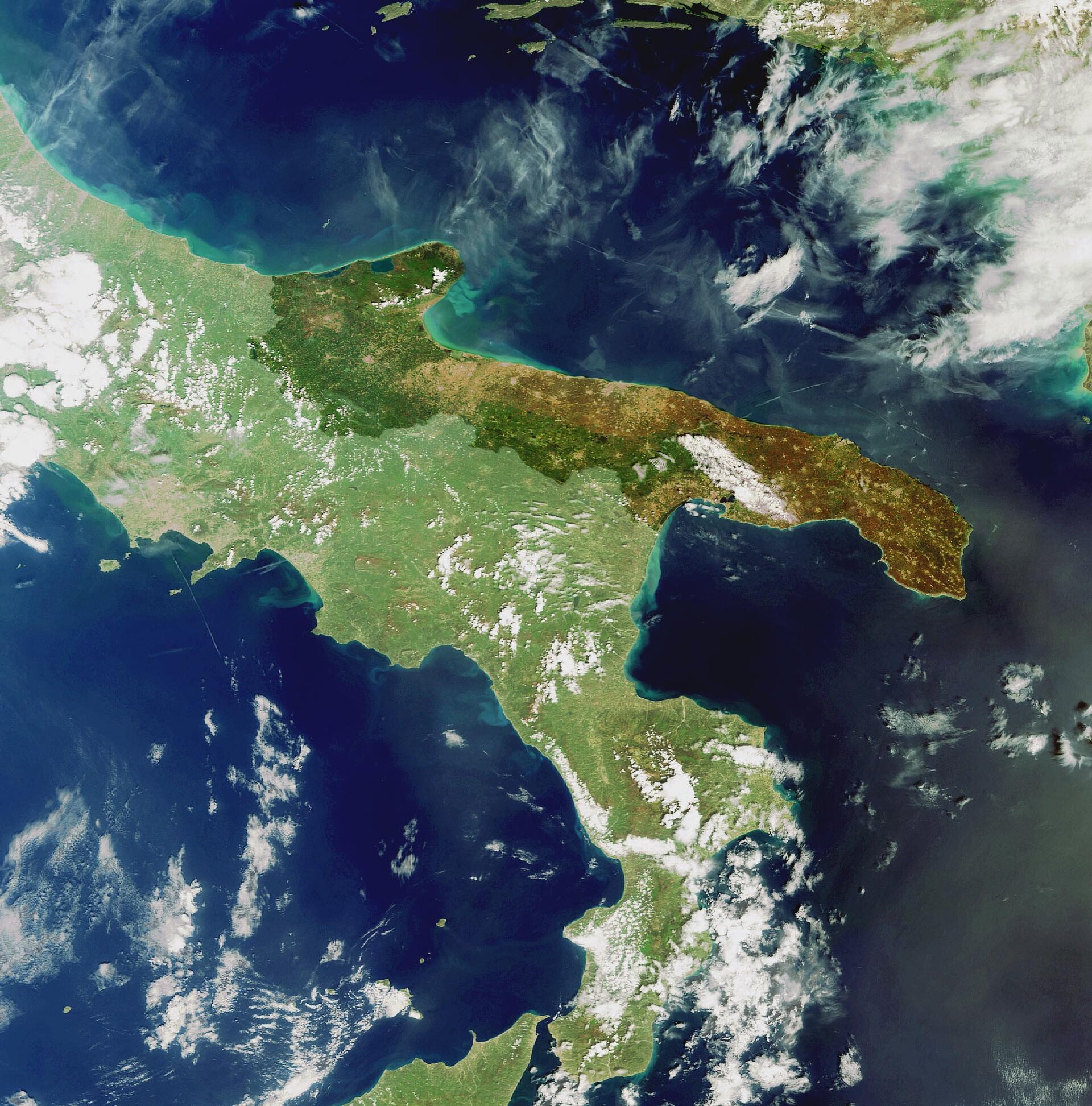 Puglia Federiciana si amplia: Daunia e BAT unite per un’agroalimentare di qualità